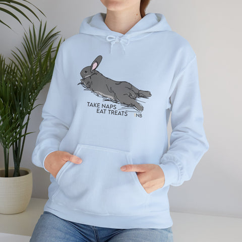 Take Naps Eat Treats Unisex Hoodie